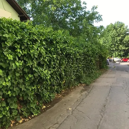 Romantic-downtown-free Parking * Szeged