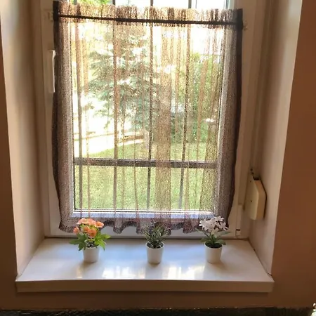 Romantic-downtown-free Parking Apartment